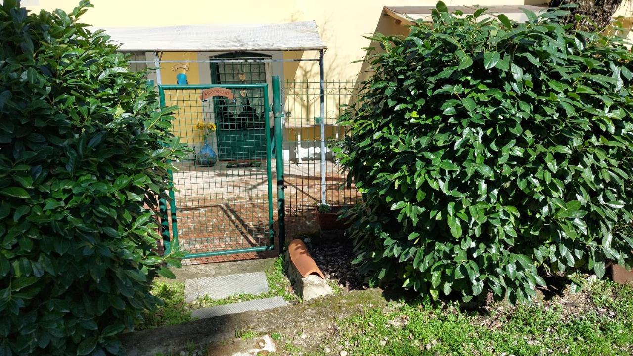 La Piccola Oasi Con Parcheggio Lägenhet Florens Exteriör bild