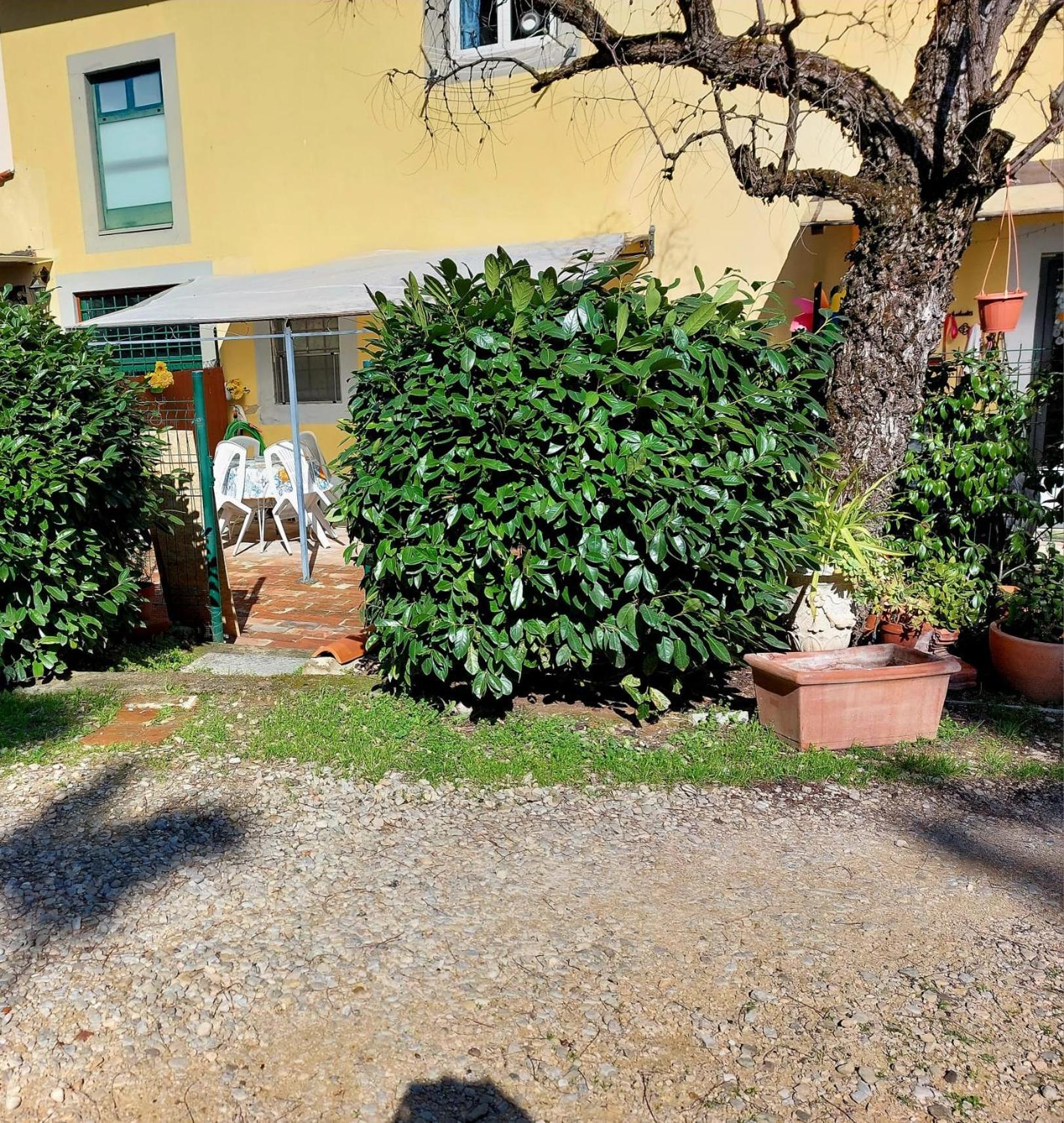 La Piccola Oasi Con Parcheggio Lägenhet Florens Exteriör bild